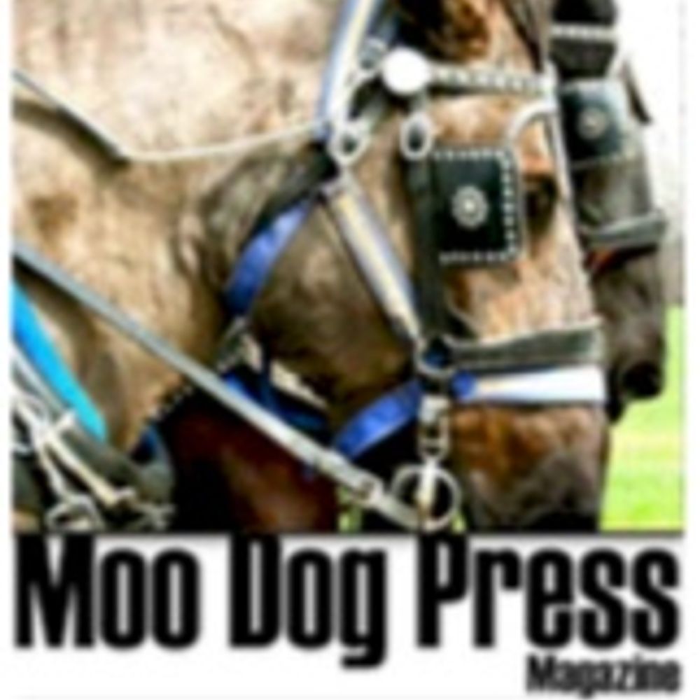 Profile picture moodogpress.com