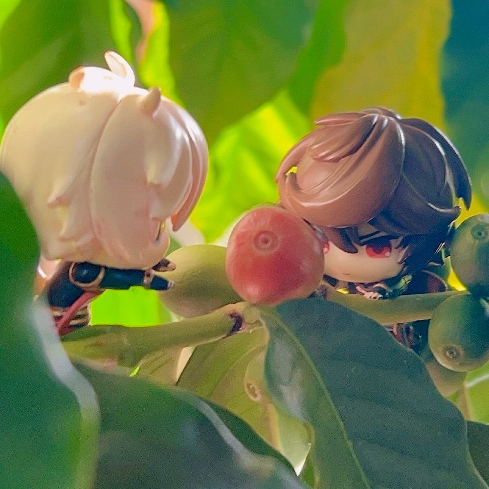 *おでかけぷち*