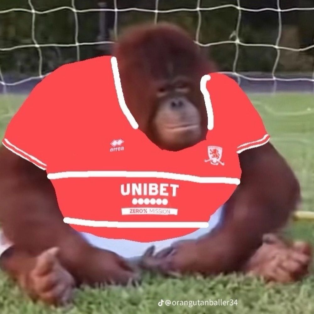 domthexton.bsky.social