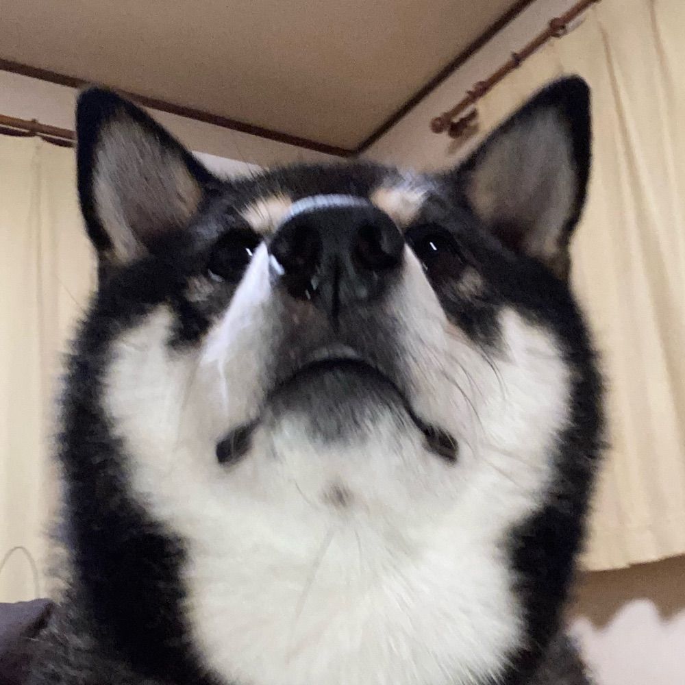 はると