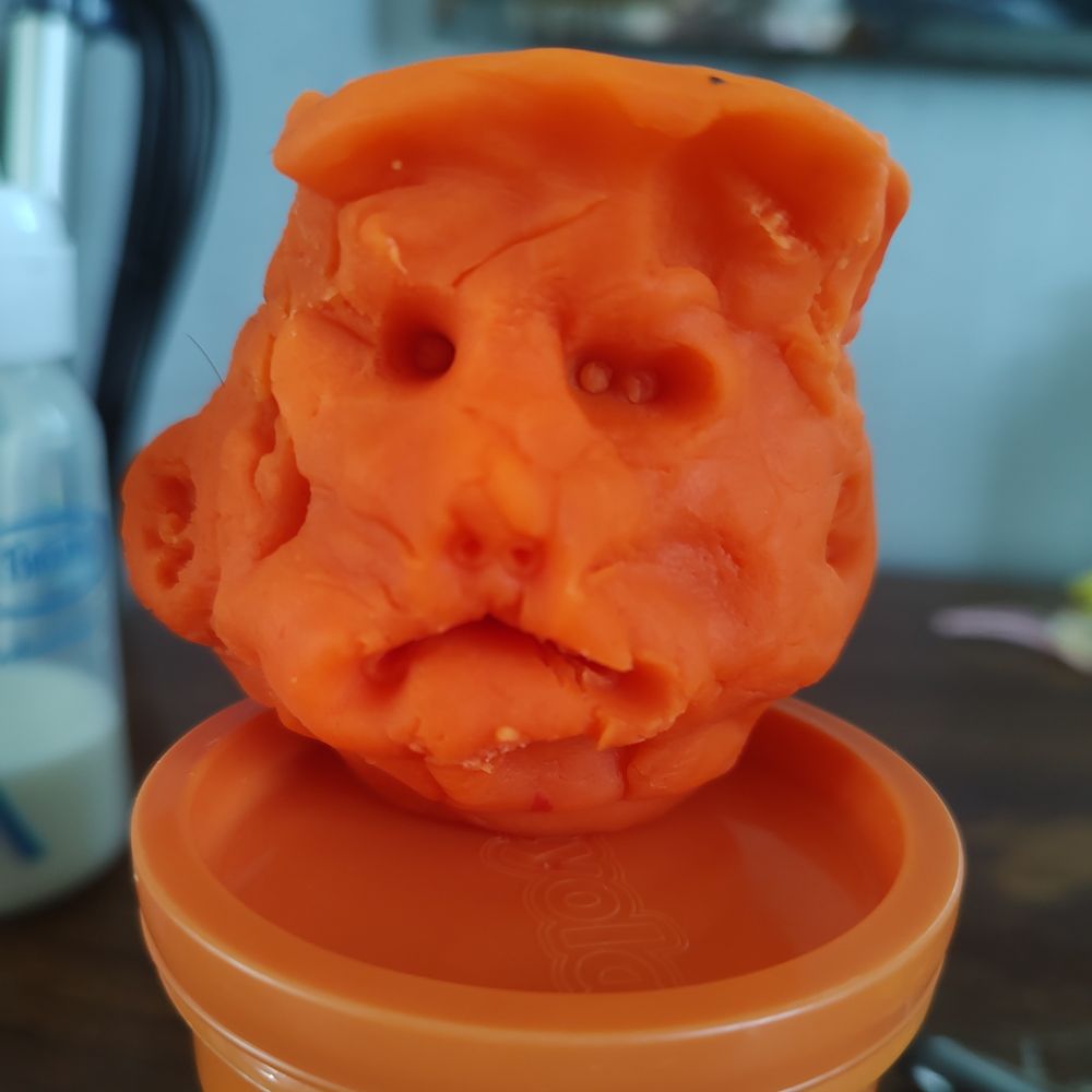 presidentpubes.bsky.social profile picture