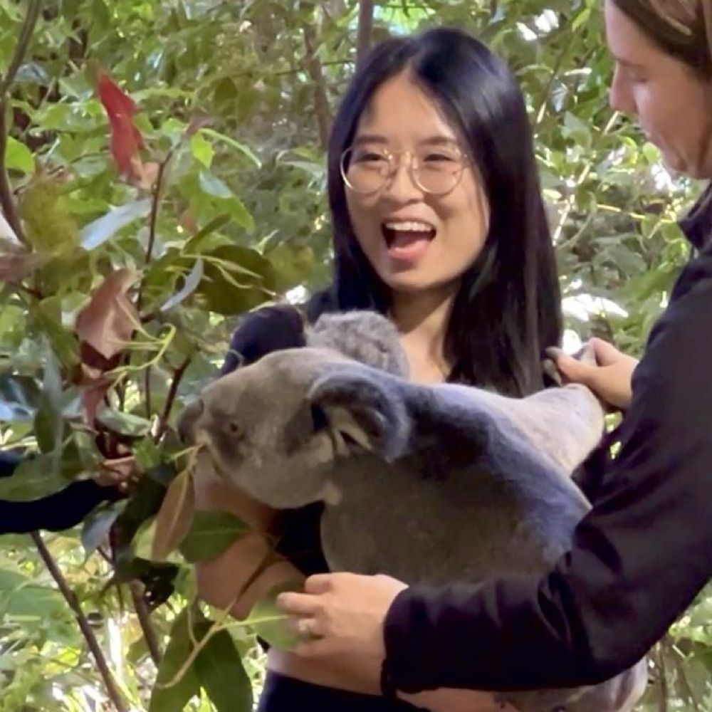 Hanjie Liu