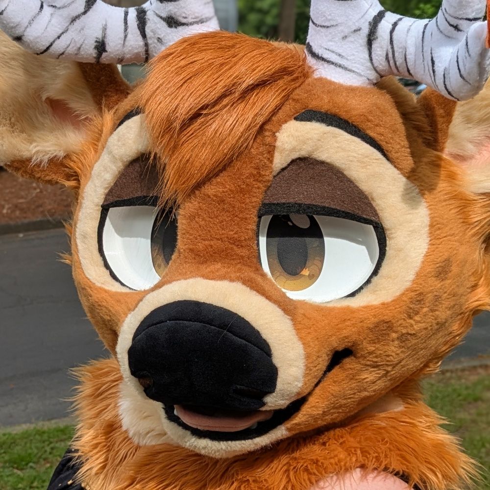 Birch!!! 🦌🍂 🔜 FWA