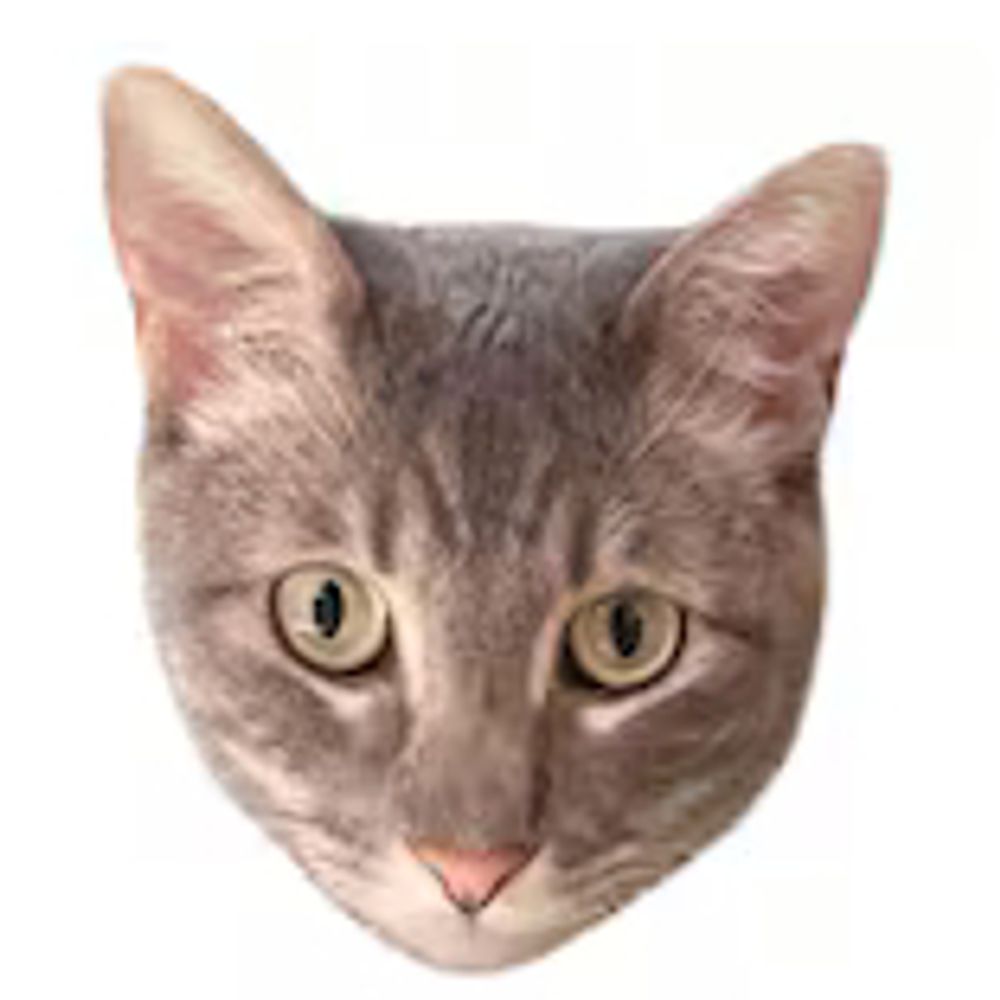supamac.bsky.social profile picture