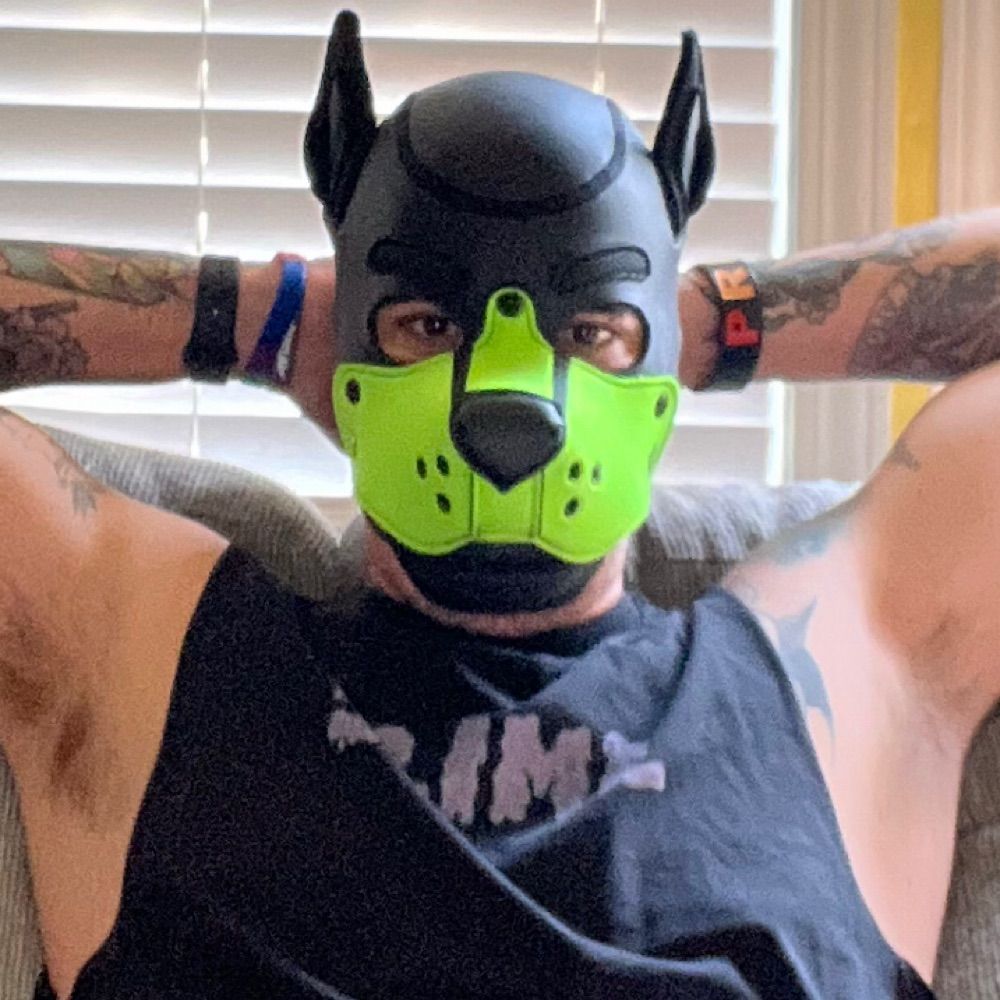 Pup Jaxx
