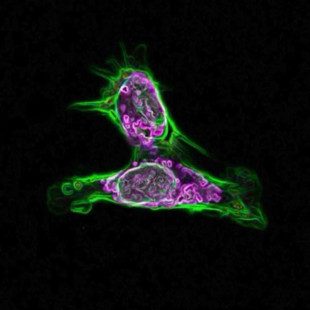 Fischbach Lab