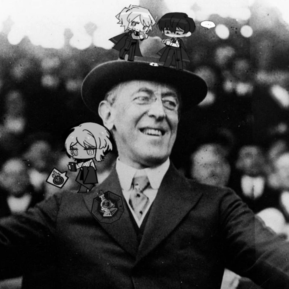 Woodrow Wilson (D-NJ) 🇺🇳🇺🇸🇹🇼🇺🇦🇵🇸🇦🇲