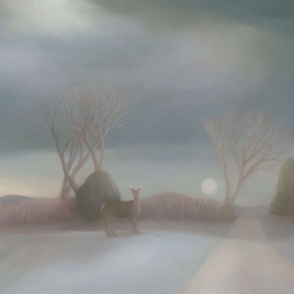 Ann Huston Studio