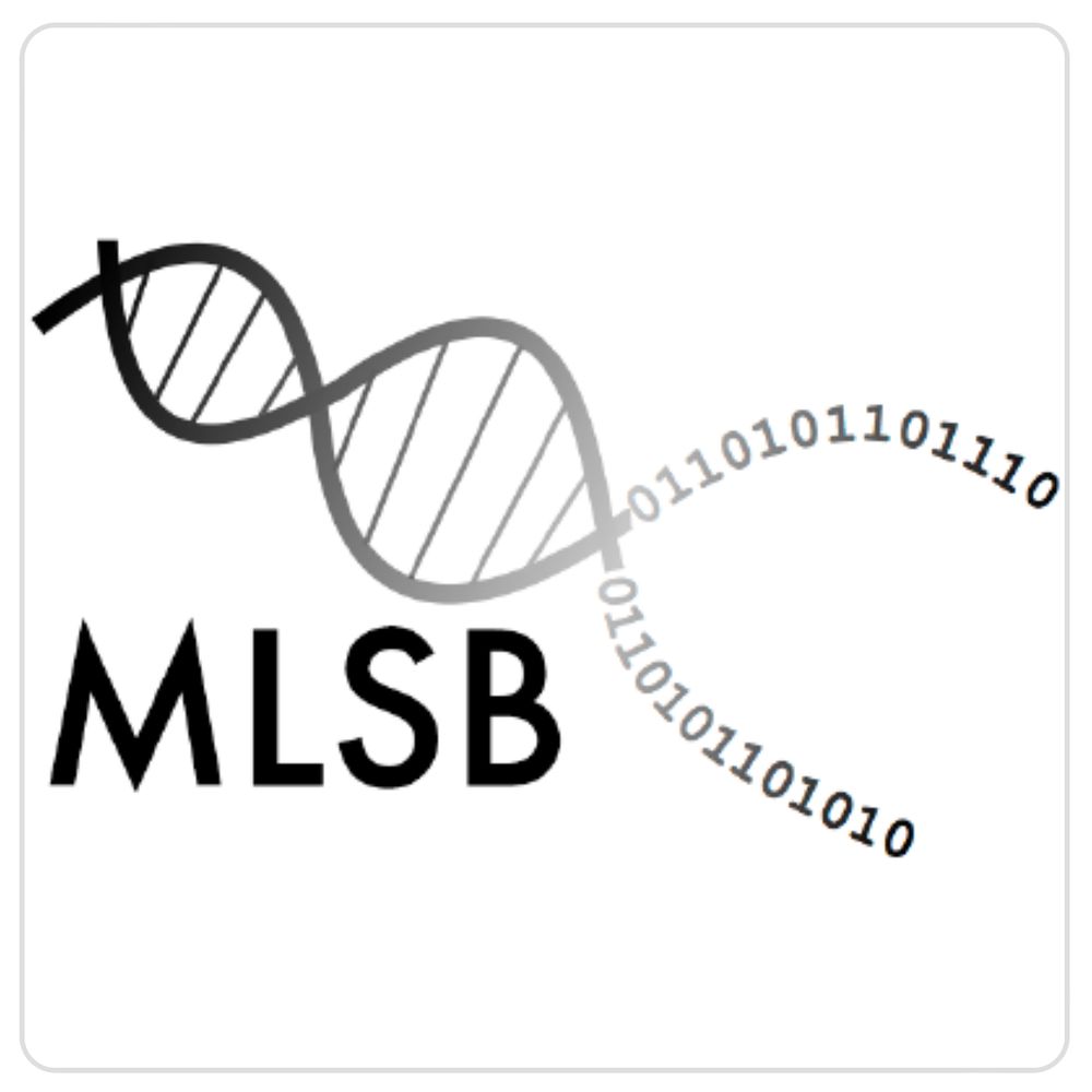 MLSB