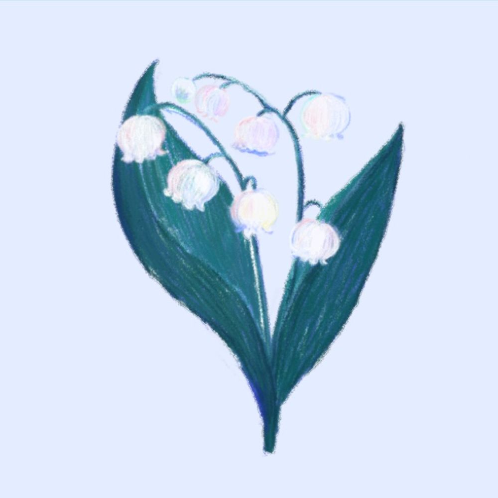ちかちーの