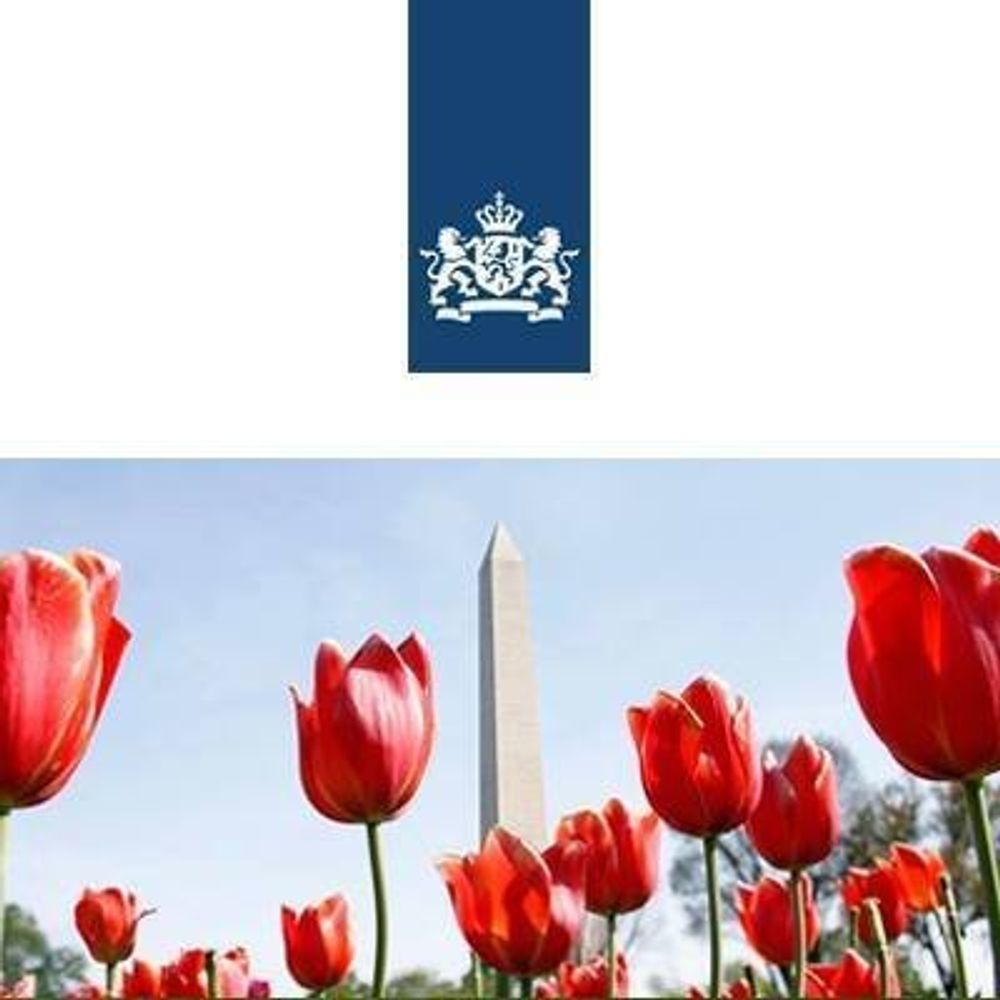 Netherlands Embassy in the US