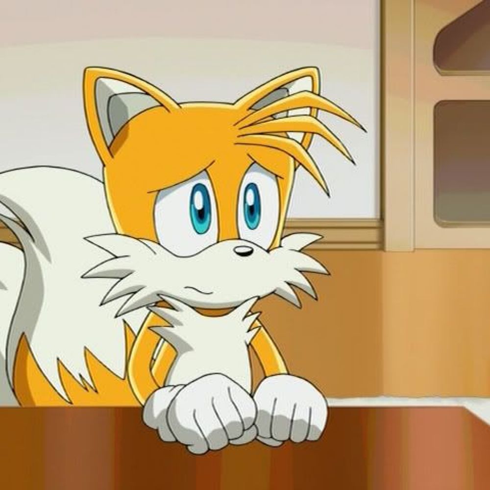 TAILS THE FOX 🦊
