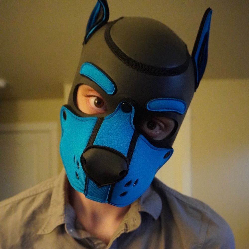 Pup Patch 🔜 MIR 27