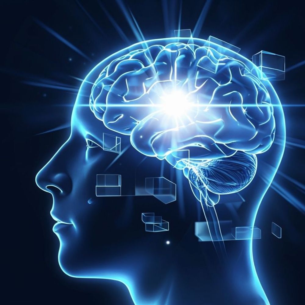 MindFuel