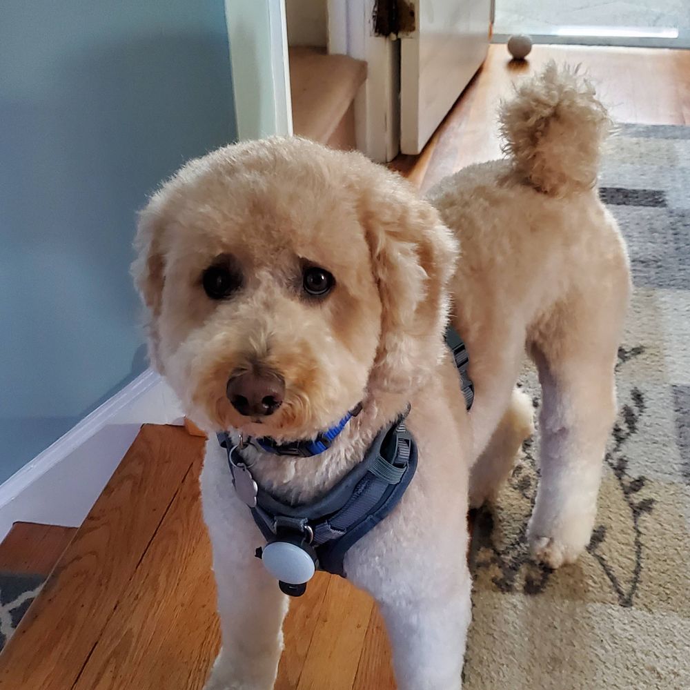 meturnbull.bsky.social