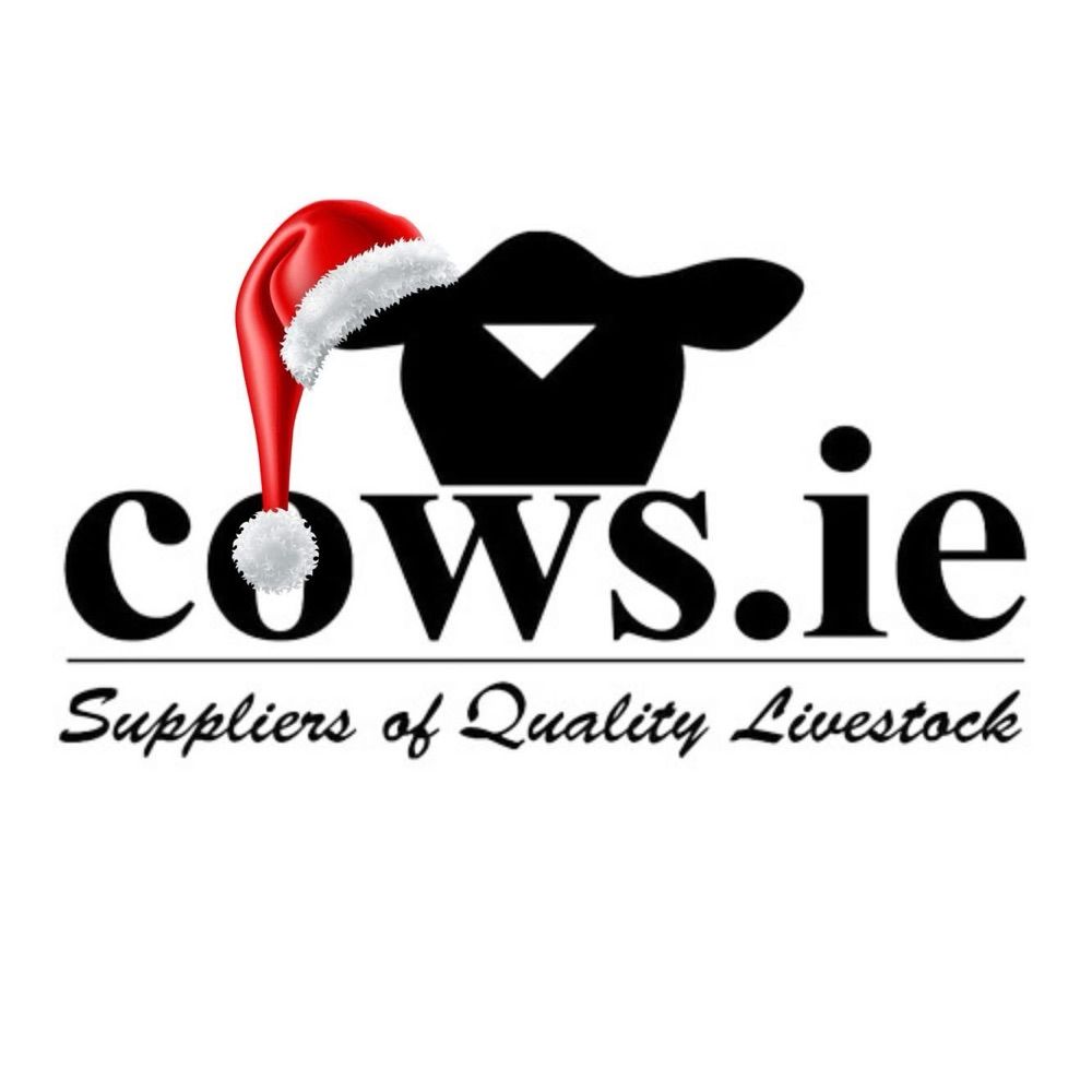 David Clarke Livestock