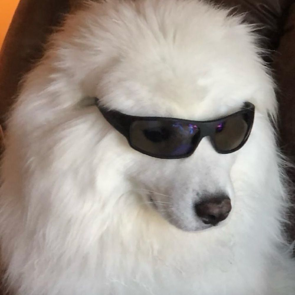 galimai_austeja