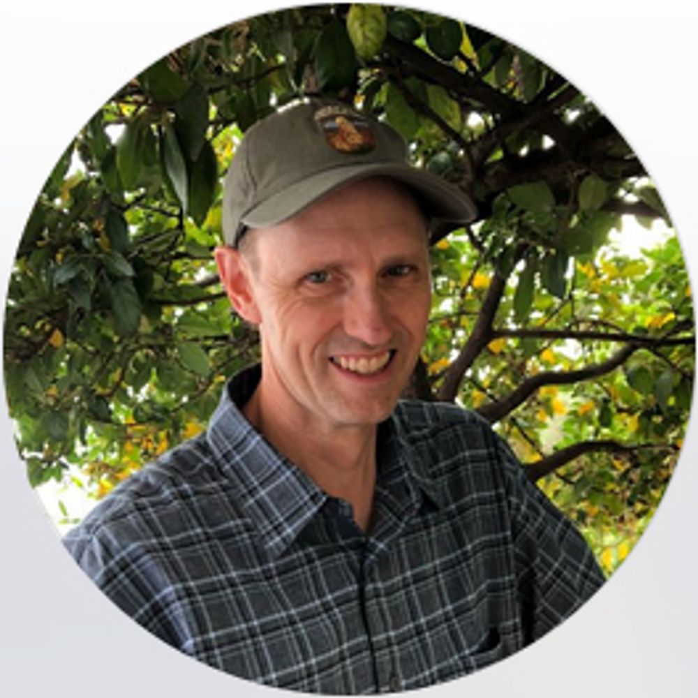 Dave Lyons