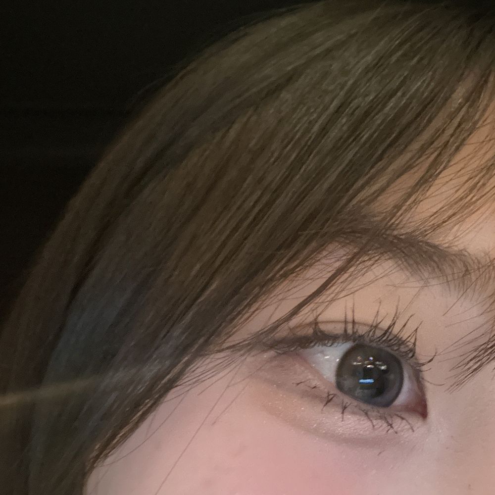 연화커플 🐰