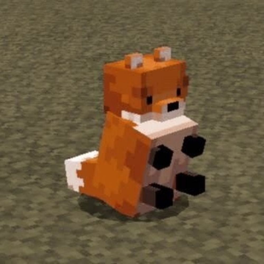 Space Fox