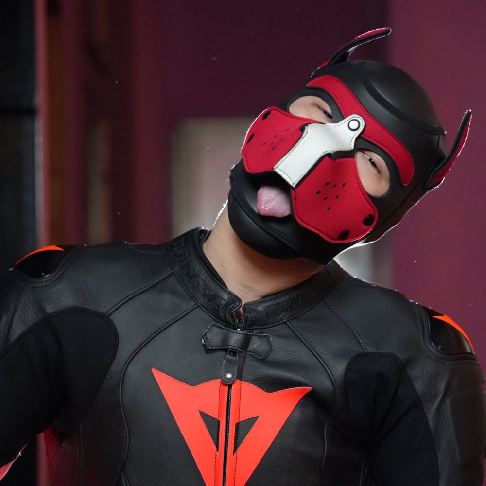 Wolf Xiao Ba