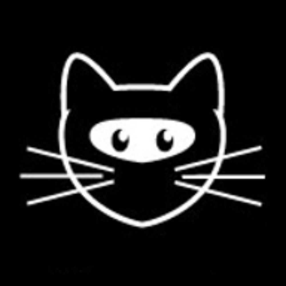 Ninjakitten