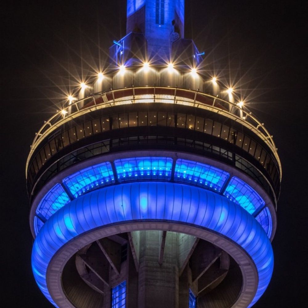 BelongsInBlue