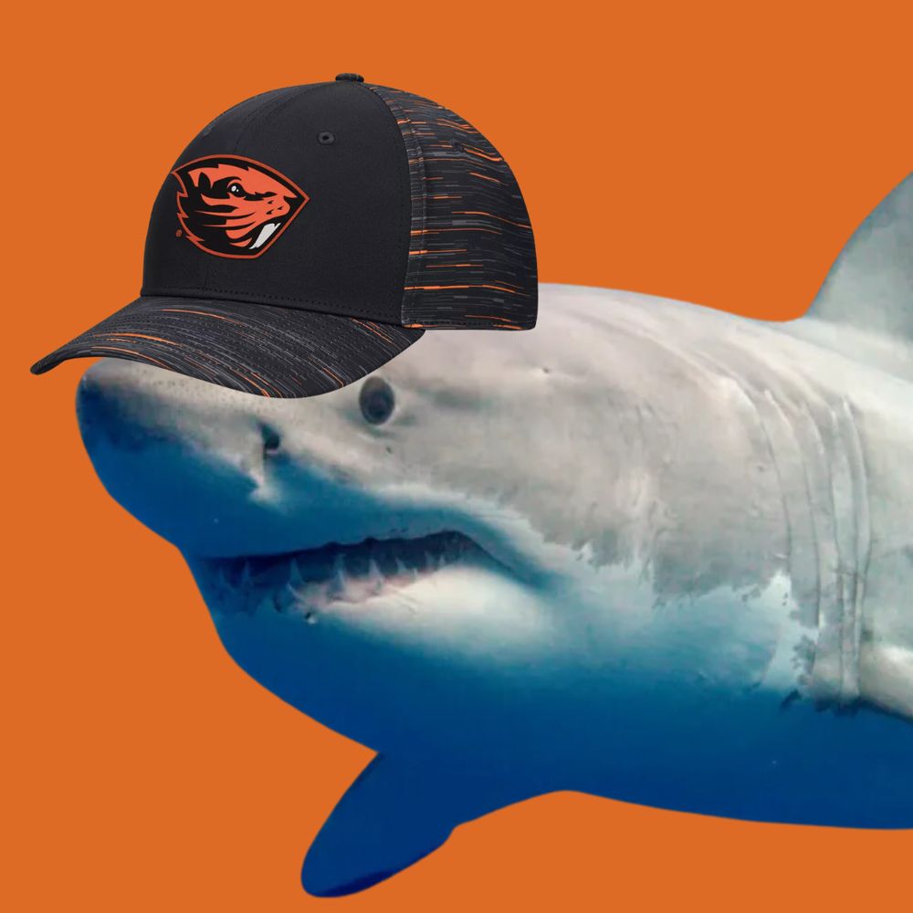 Beaver Shark