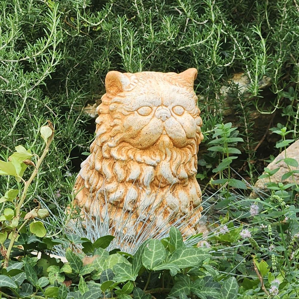 씨모ore