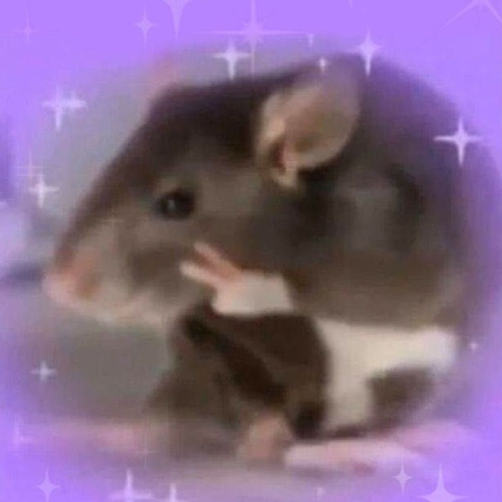 My