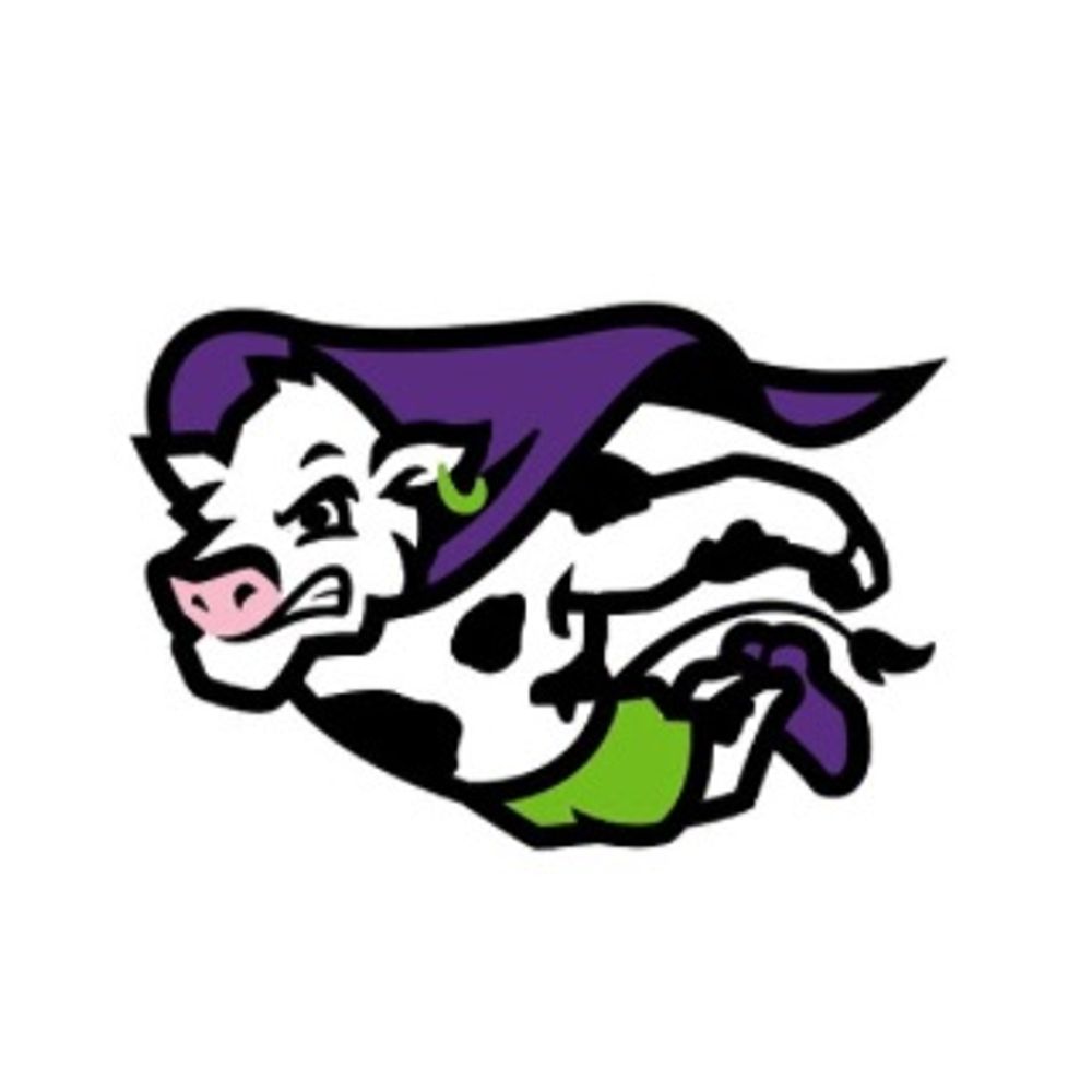 Frederick Flying Cows