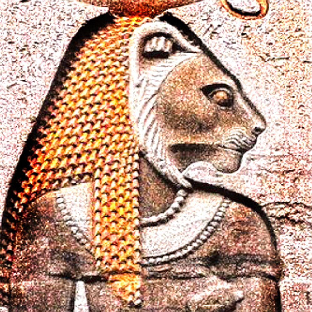 The Last Lioness