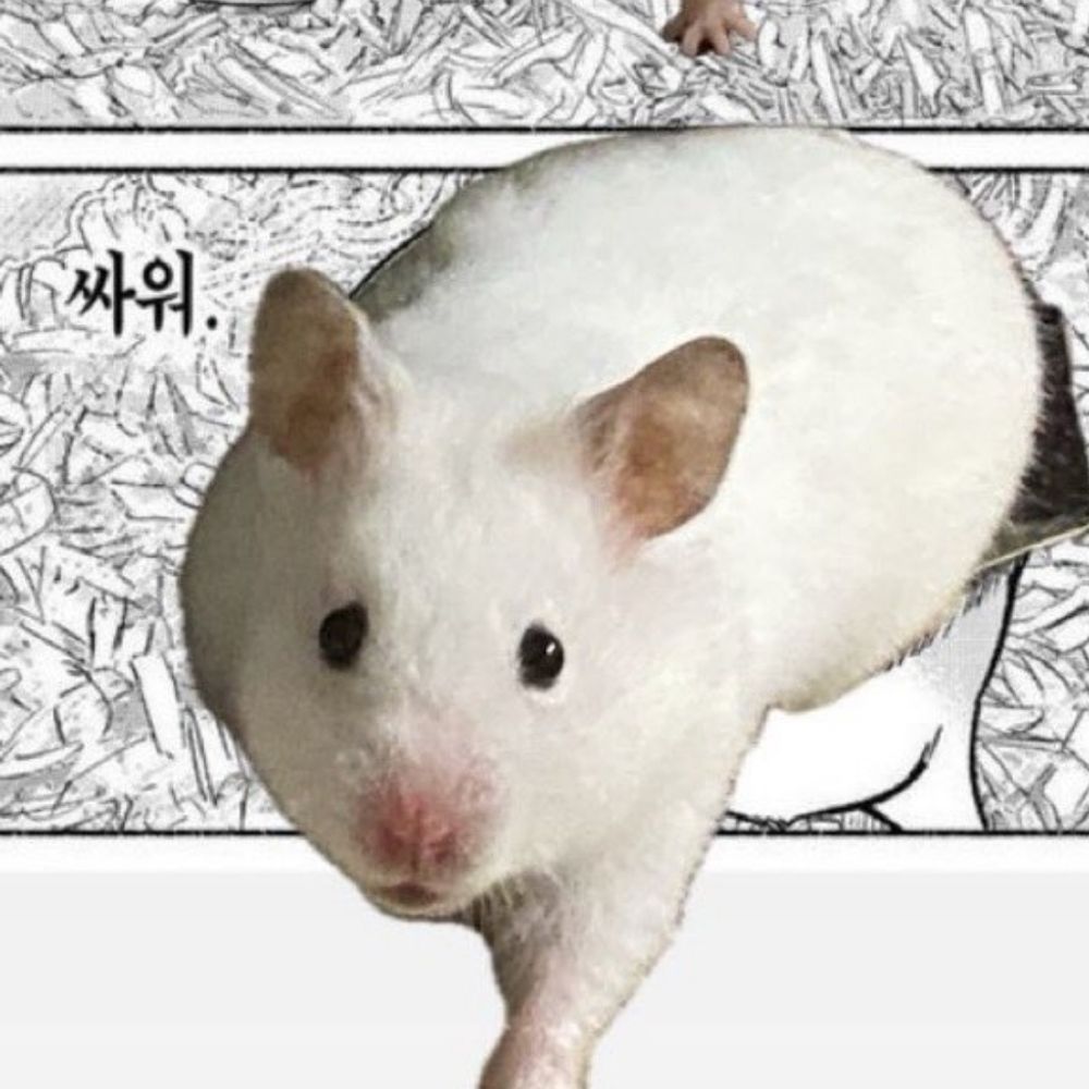 Pilu