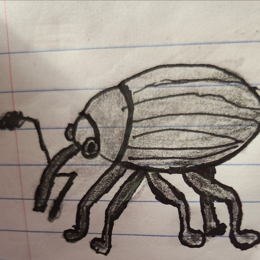 Wonder Weevil
