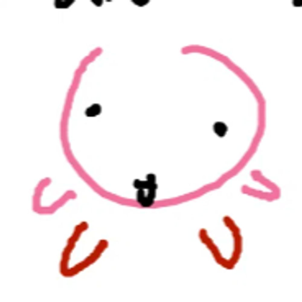fern