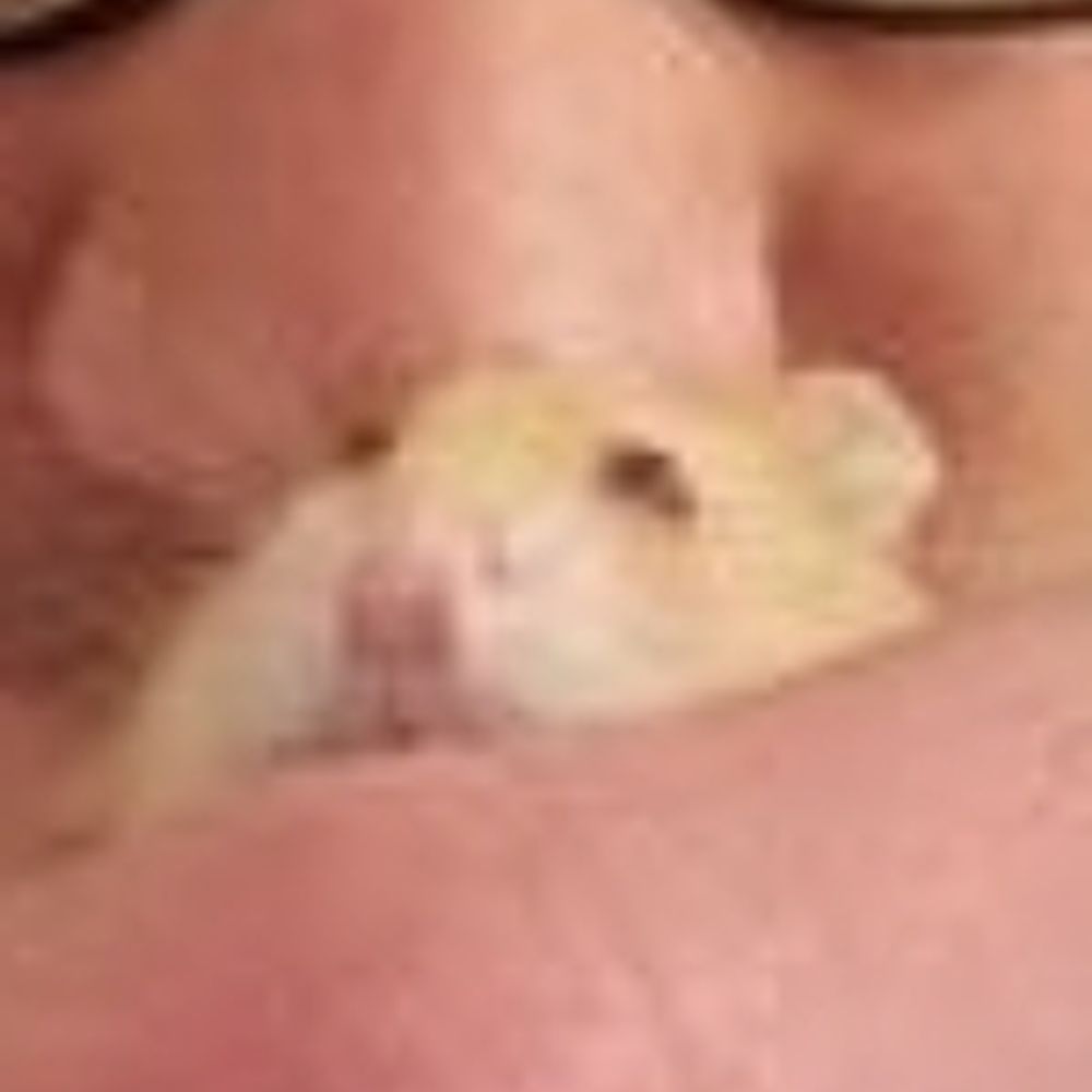 Valentin