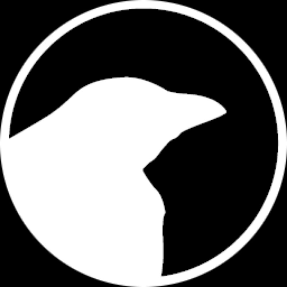 RavynSoft