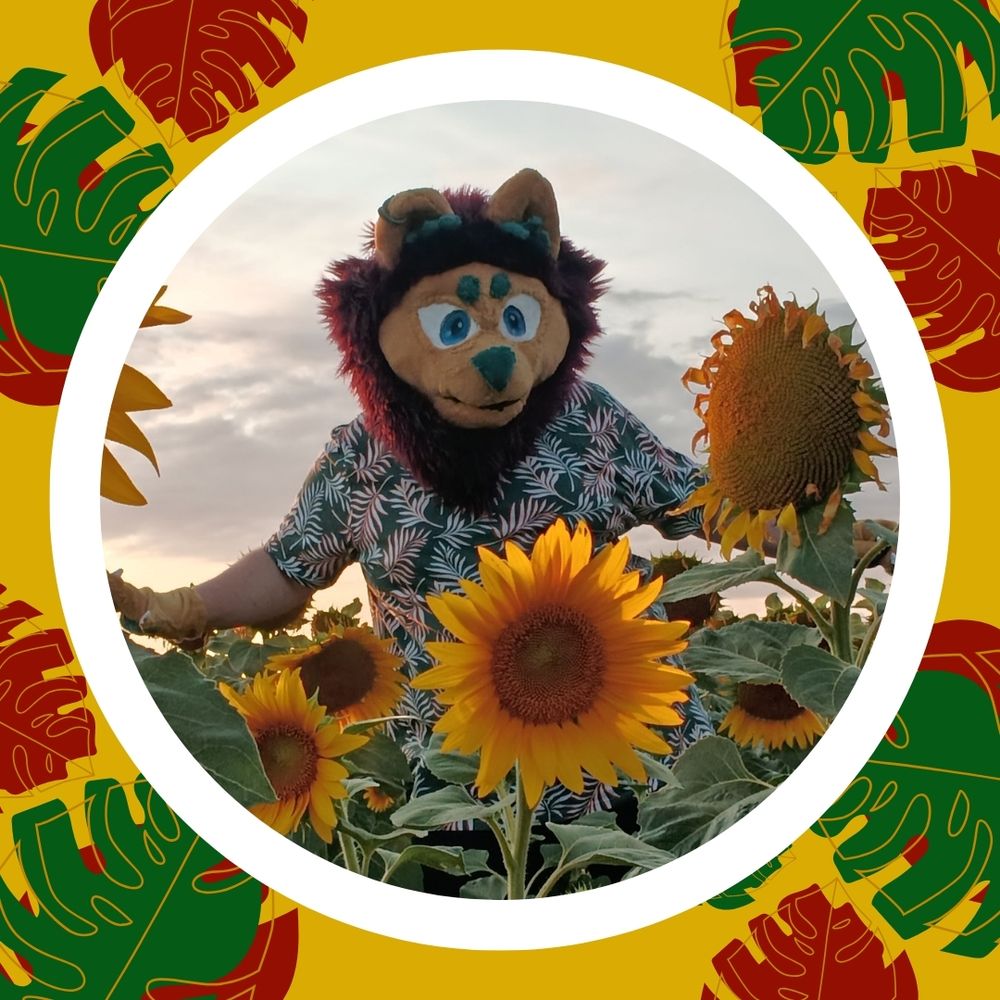 Kymba the big lion
