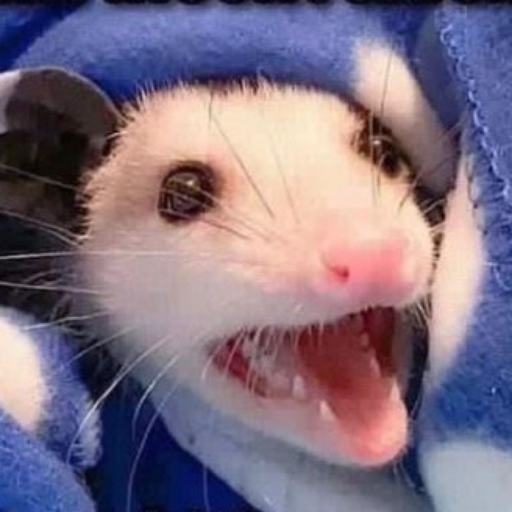 ᴬᵒ³ ᴬʳᵉᵃ ᶜᵒᵈᵉ