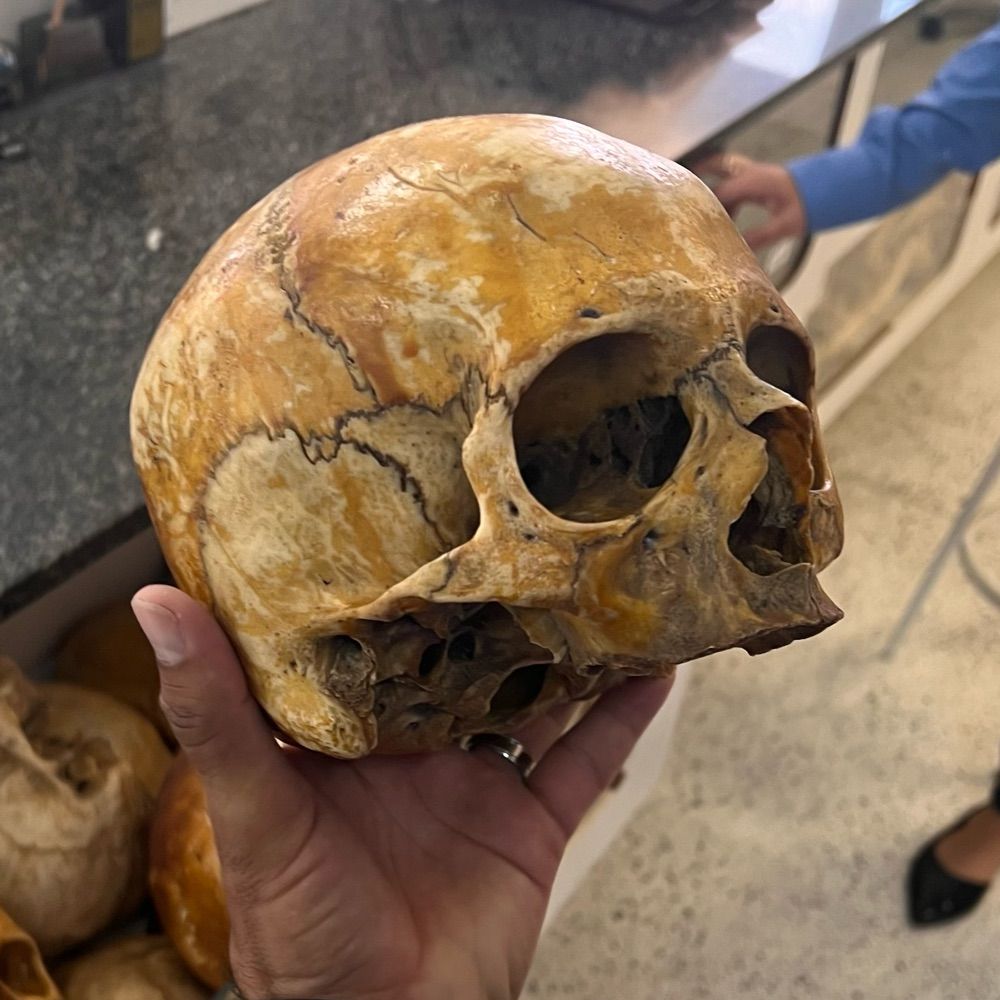 Marquianzinha