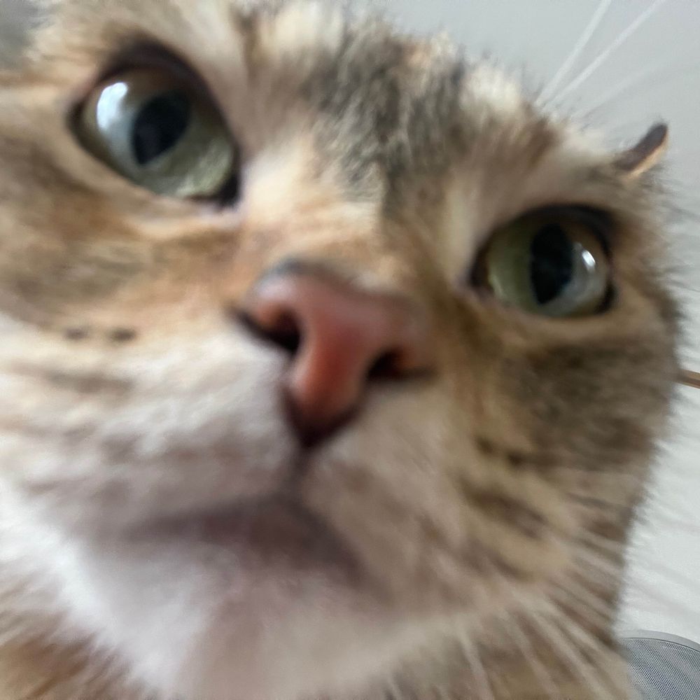 よひだ