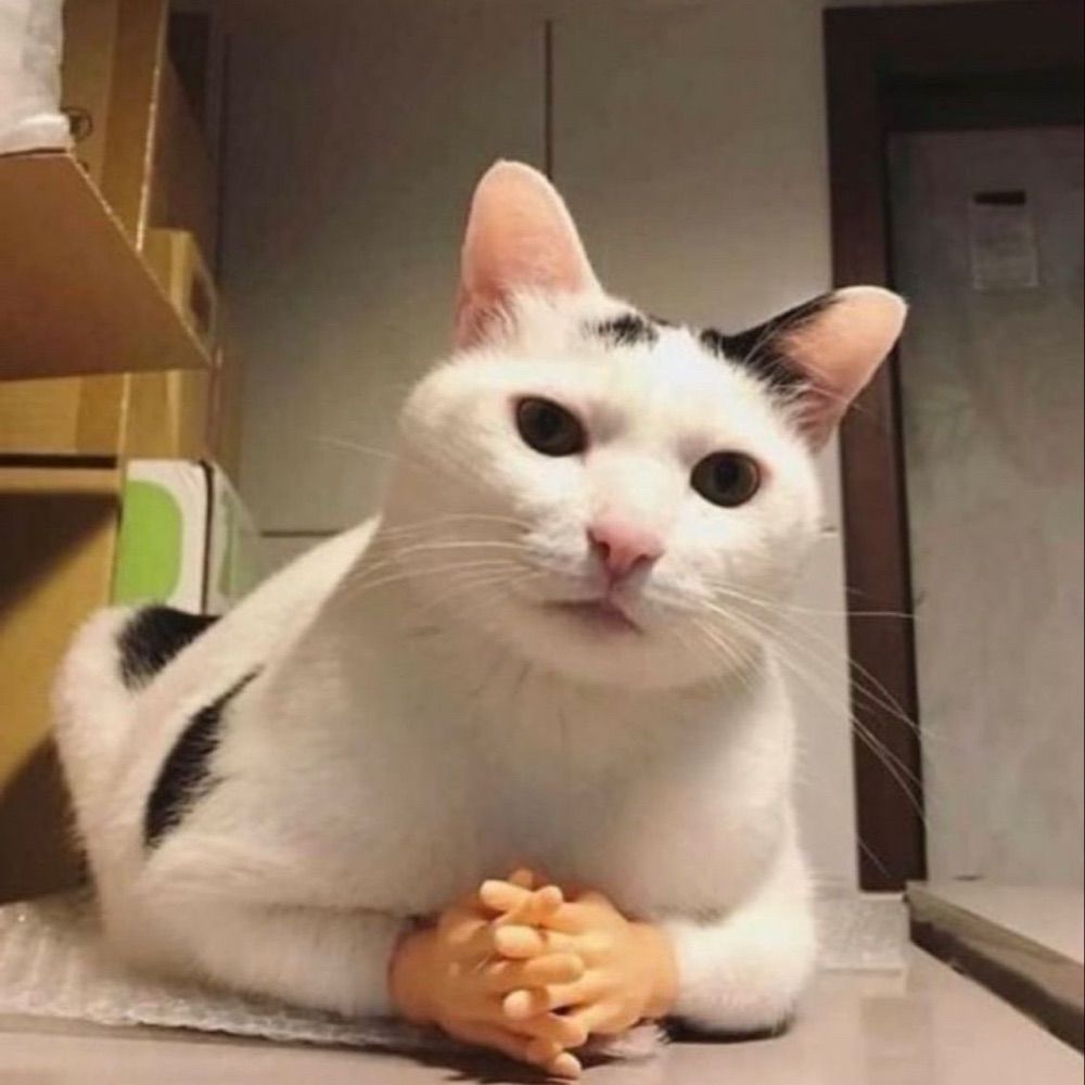 Lari
