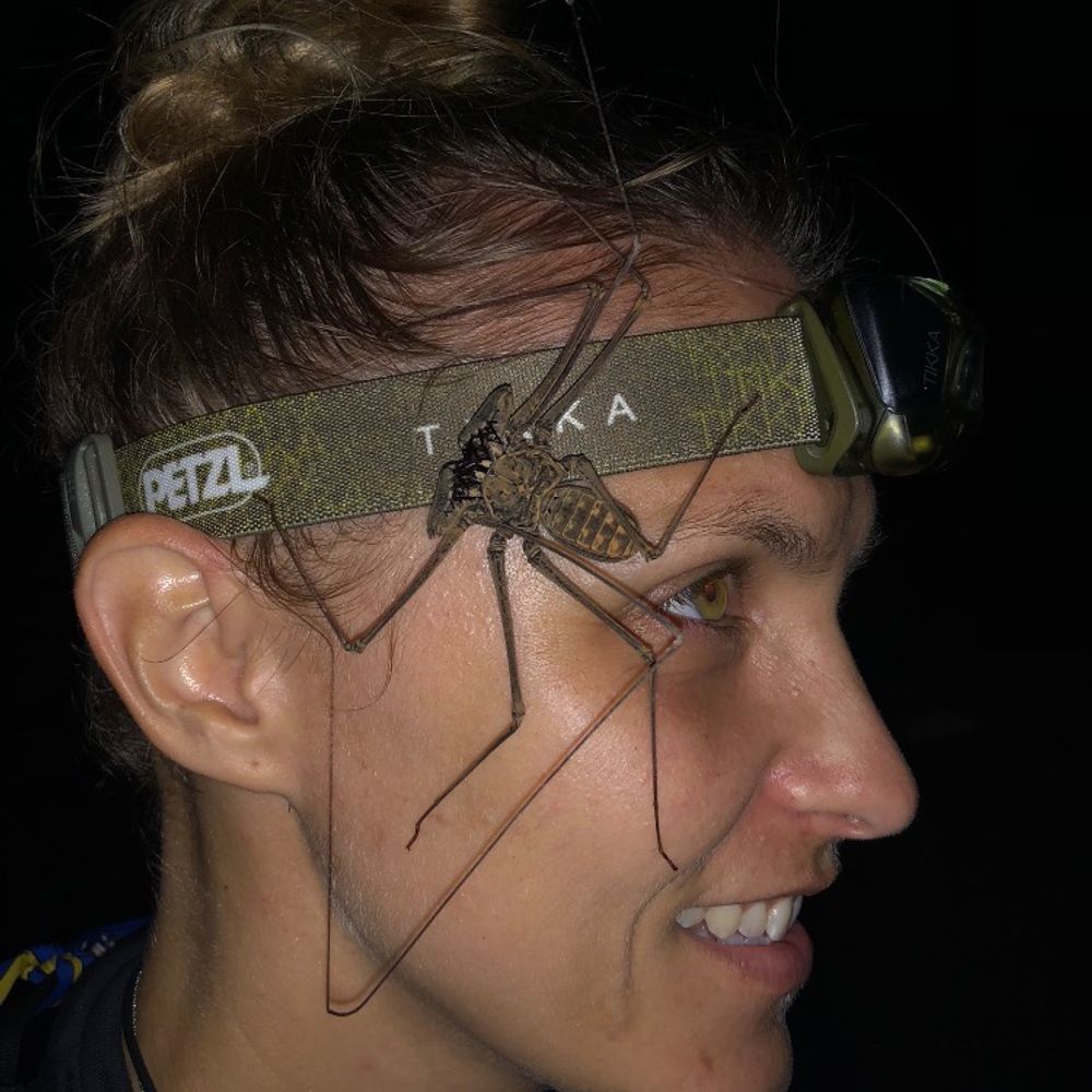 Becky Schnekser