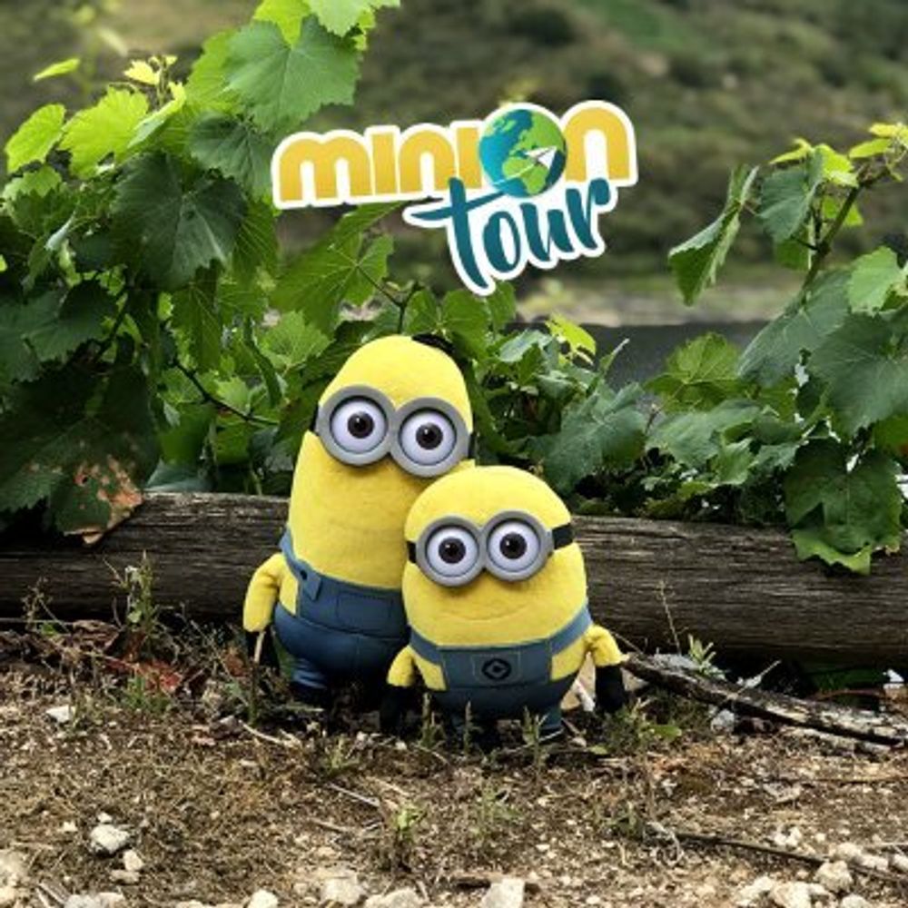 MiniOnTour