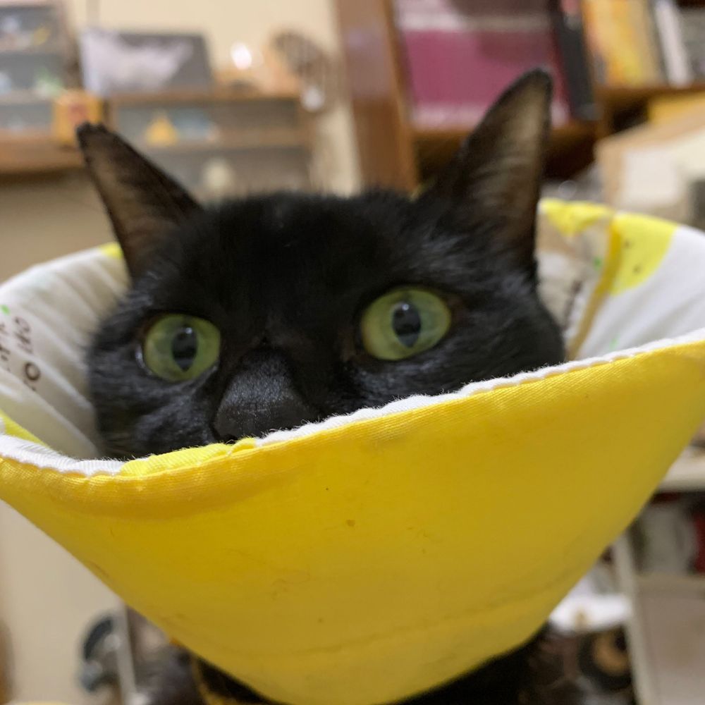 実工房