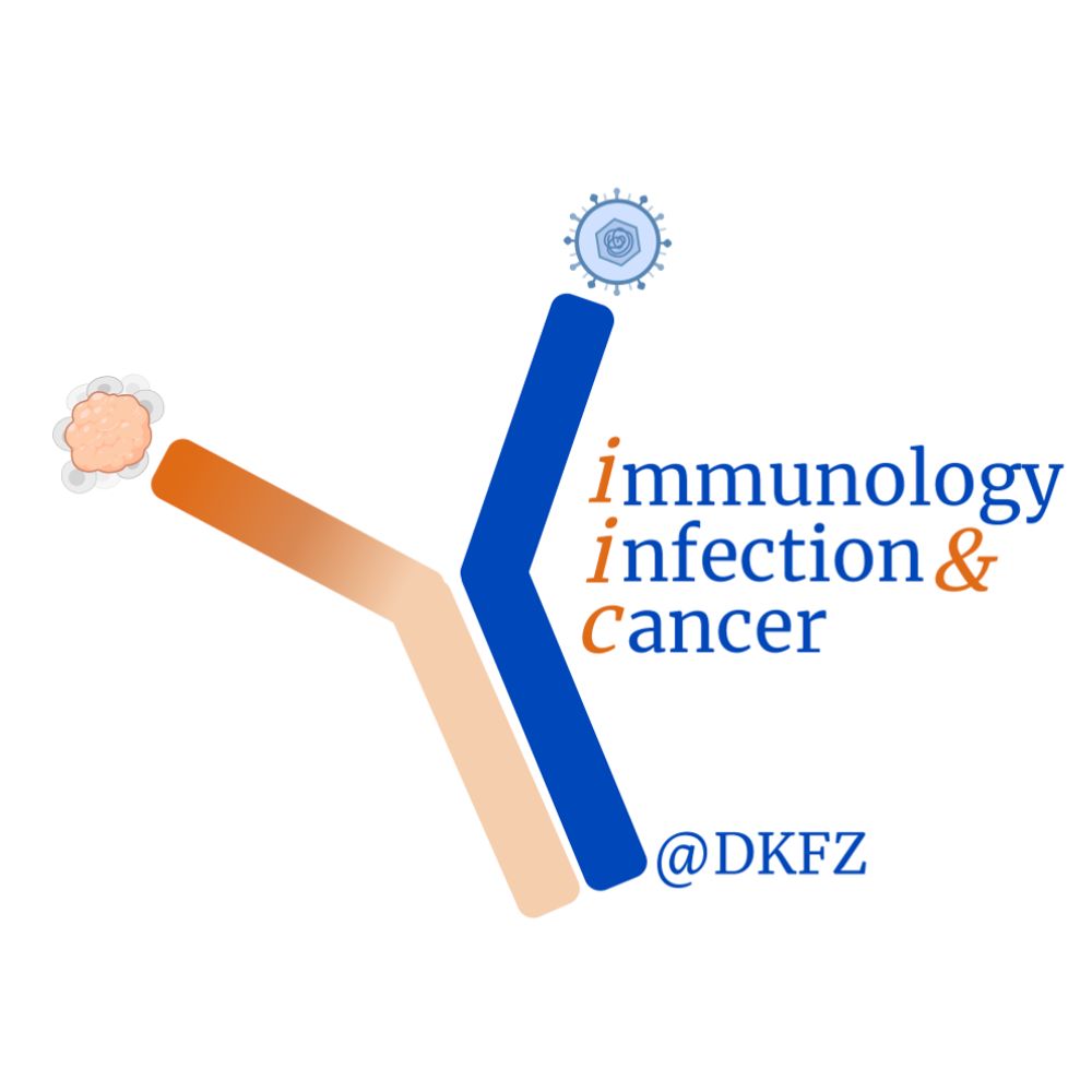 DKFZ Immunology, Infection and Cancer