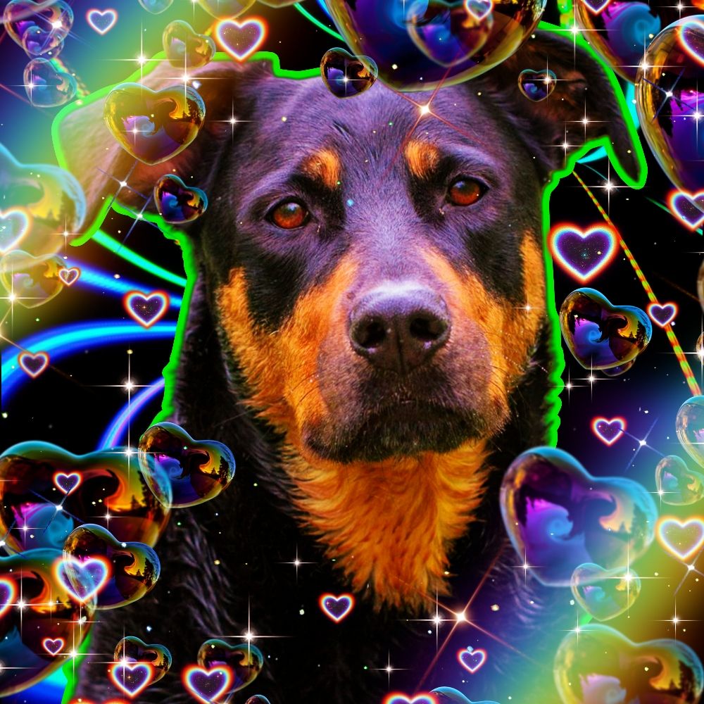 ɢᴏʀᴇʜᴏᴜɴᴅ