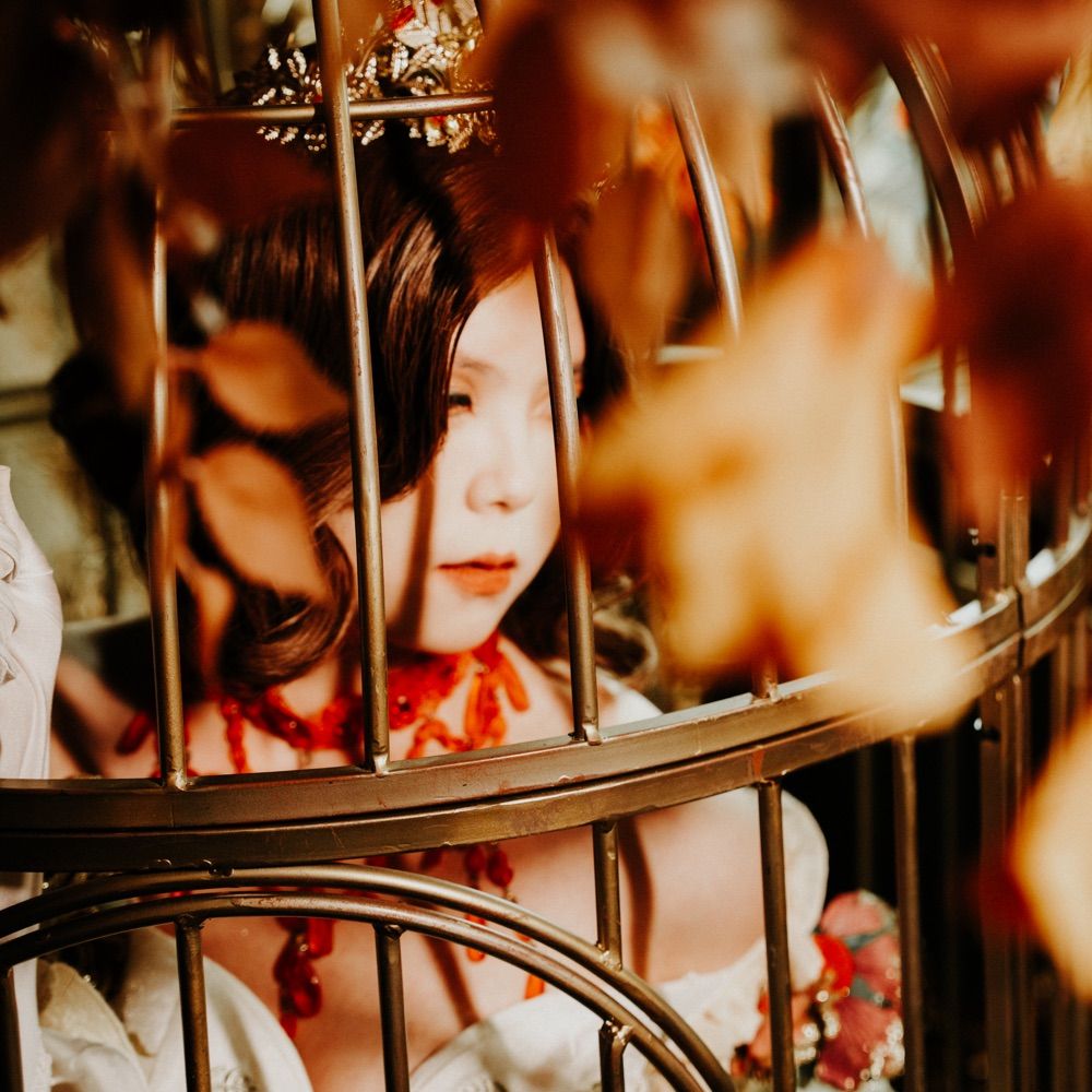 七弦兒