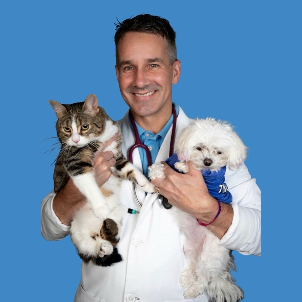 Matt McGlasson DVM, CVPM