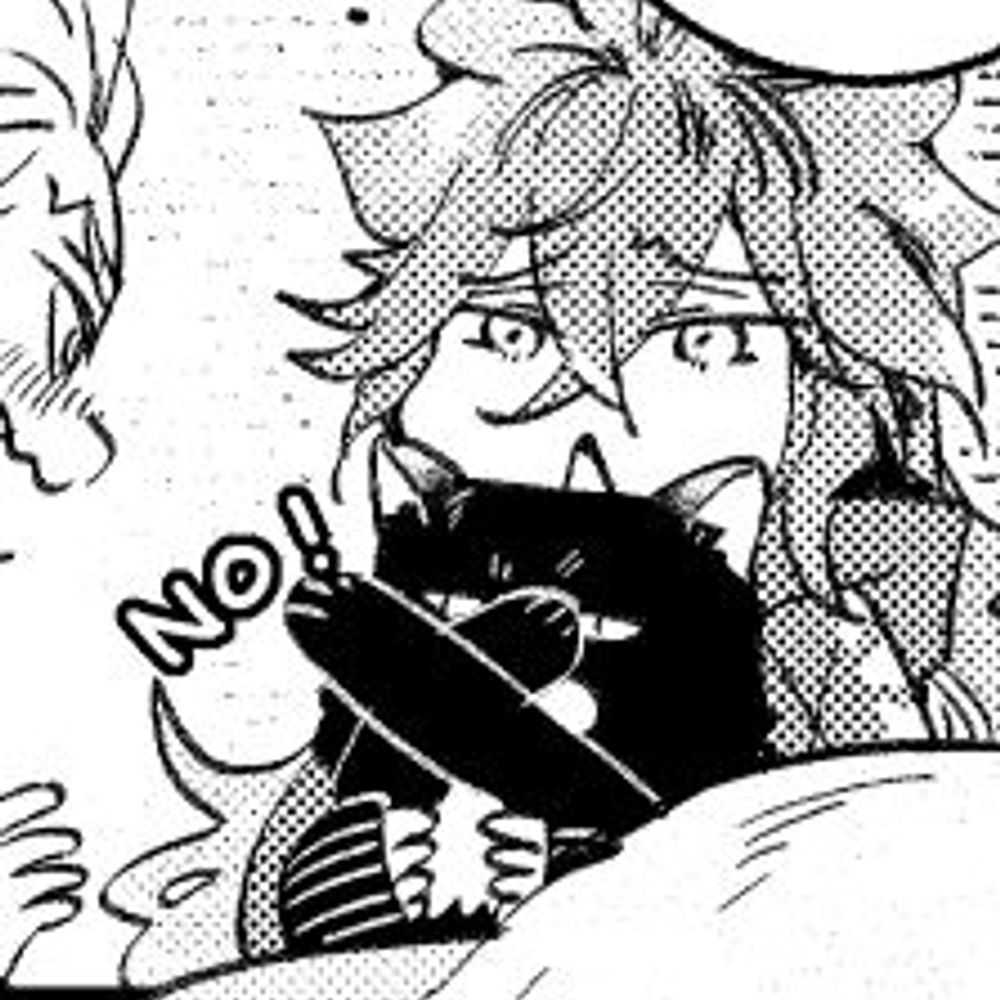 ven . ˚◞ ✧